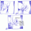 Diagram to show how to use tampon