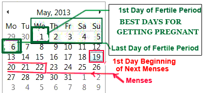 image showing calendar marking first day and last day of fertile period mydoctortells.com