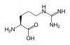 image of L - arginine medicine cure remedy for treatment of erectile dysfunction