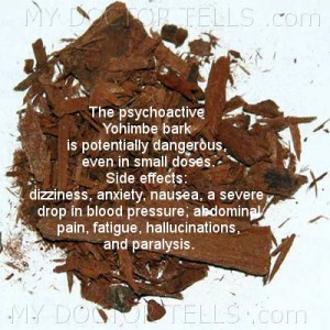 image yohimbe bark can be dangerous and has sidedffects herbal remedies for sexual problems