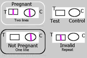 image home urine pregnancy test kit how to read result pregnancy two lines no pregnancy one line in control only