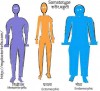 image showing three body types: mesomorphic, ectomorphic and endomorphic. The ectomorphic is slim and lean and wrongly believes that he is weak because of masturbation or nightfall. Masturbation does not cause weakness.