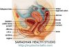 image female reproductive system Samadhan Health Studio Top Sexologist for Female